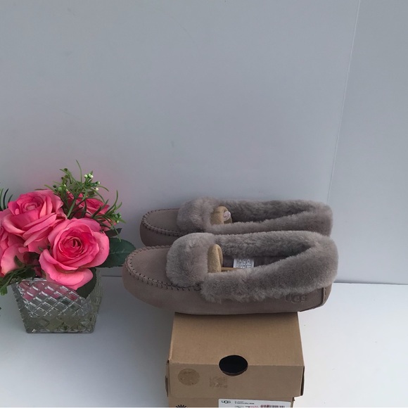 UGG Dakota Spill Seam - Picture 5 of 8